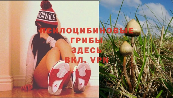 МДПВ Бугульма