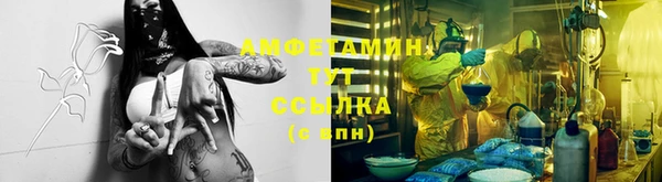 кокс Богородицк