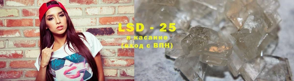 гашик Богданович