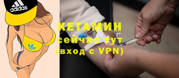 индика Губаха