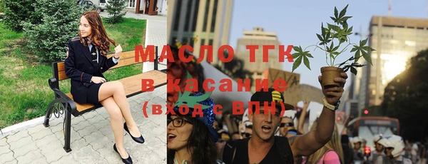 гашик Богданович
