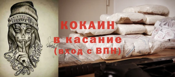 гашик Богданович