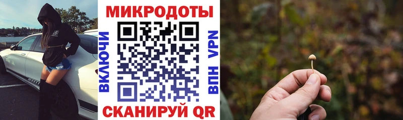 Псилоцибиновые грибы Psilocybine cubensis  Великие Луки 